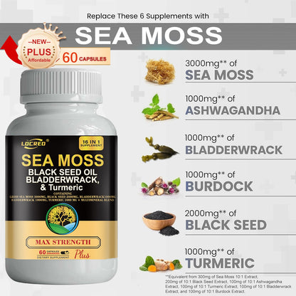10-in-1 Joint Support Supplement